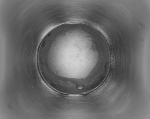 X0000112101487200908041501