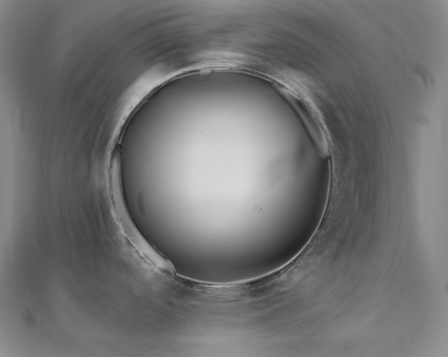 X0000112101488200908041501