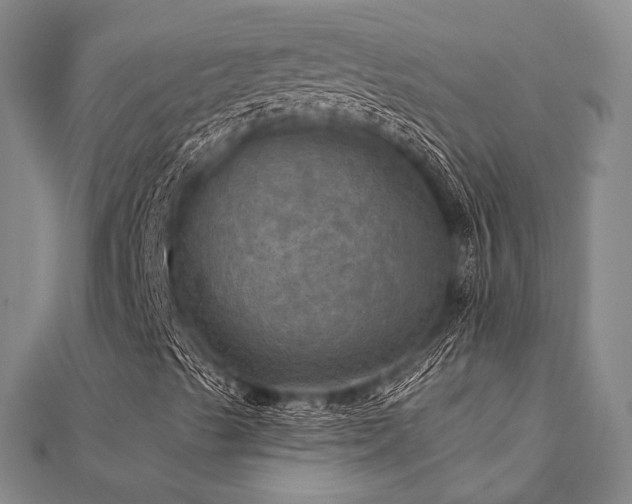 X0000112101489200908041500