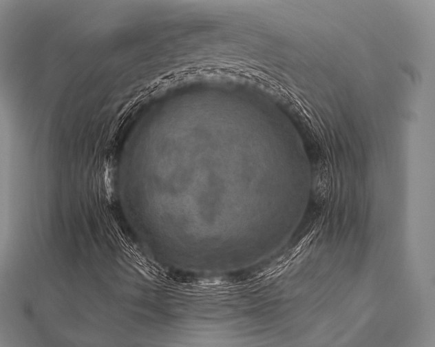 X0000112101490200908041500