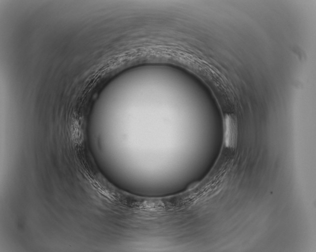 X0000112101491200908041500