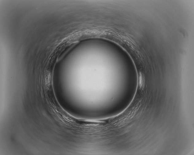 X0000112101492200908041500