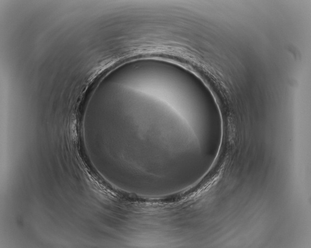 X0000112101497200908041500