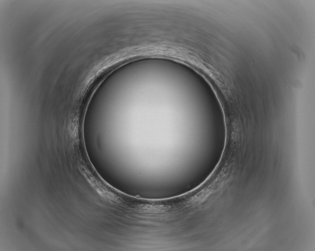 X0000112101499200908041500