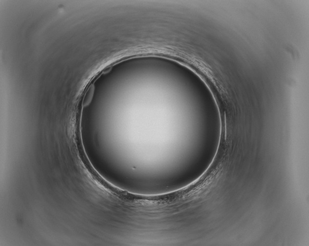 X0000112101500200908041500