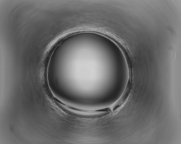 X0000112101502200908041500