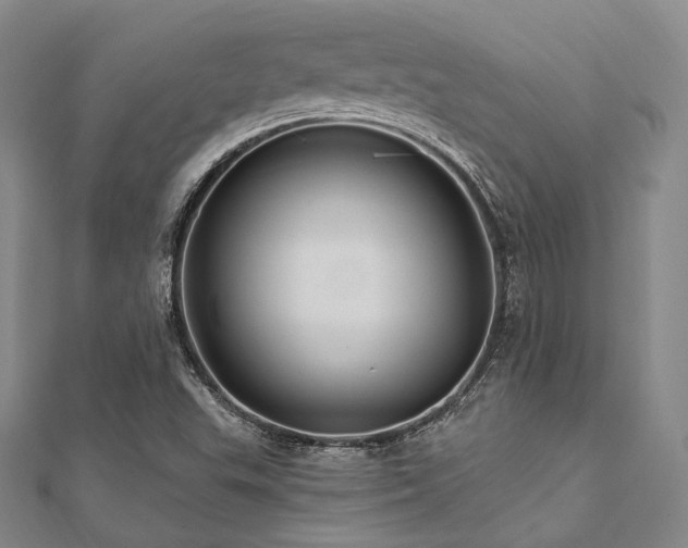 X0000112101503200908041500