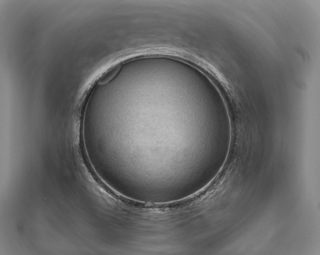X0000112101504200908041500