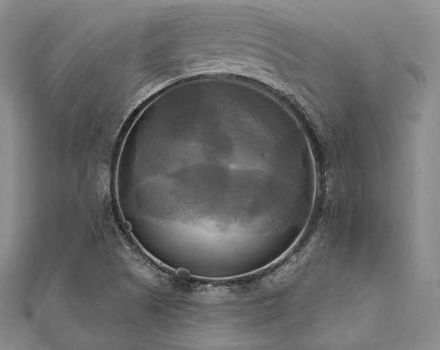X0000112101505200908041500
