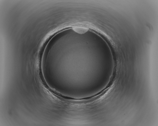 X0000112101506200908041500
