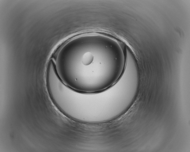 X0000112101508200908041500