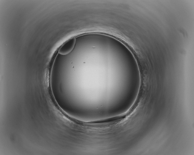 X0000112101510200908041500