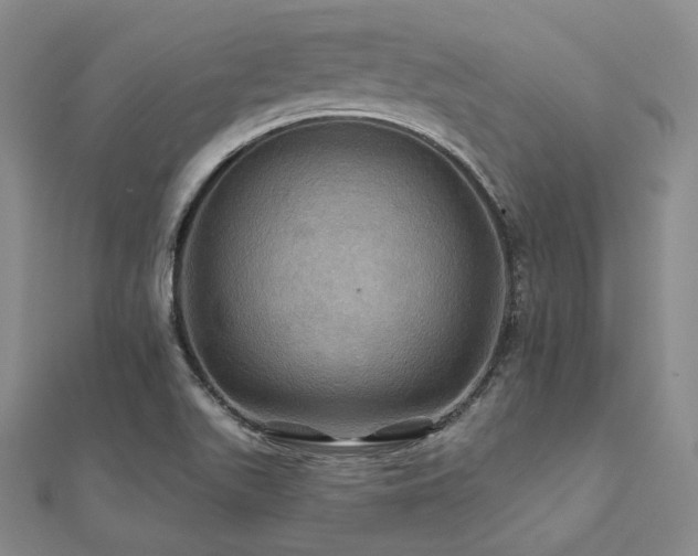 X0000112101511200908041500