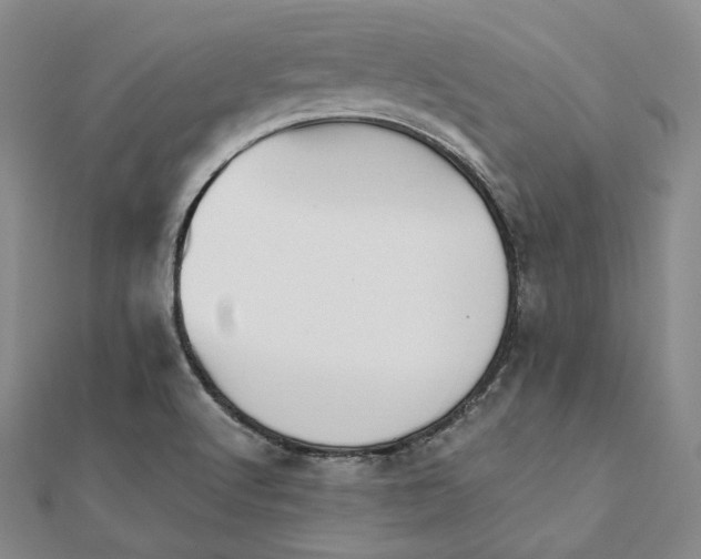 X0000112101512200908041500