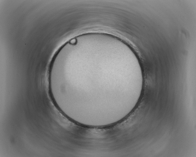 X0000112101514200908041500