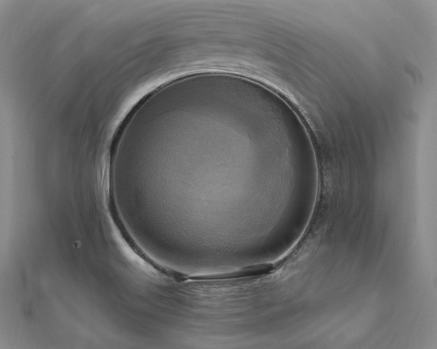 X0000112101515200908041500