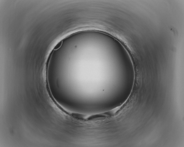 X0000112101516200908041500