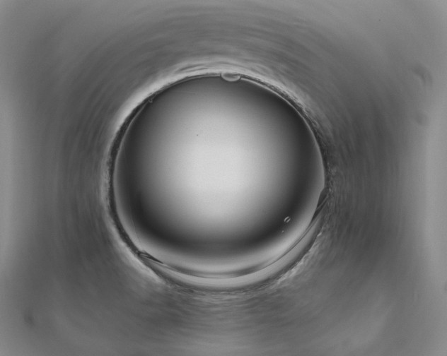 X0000112101518200908041500