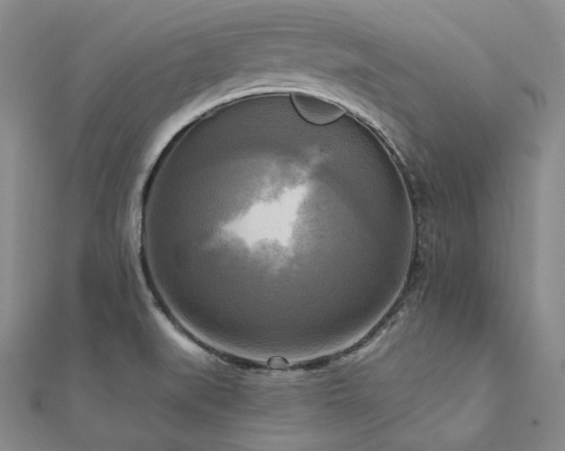 X0000112101519200908041500