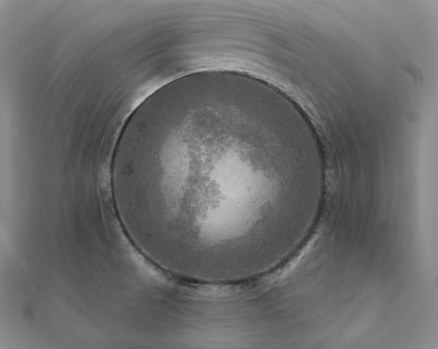 X0000112101521200908041500