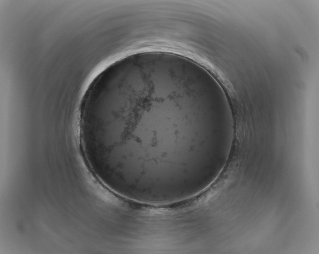 X0000112101522200908041500