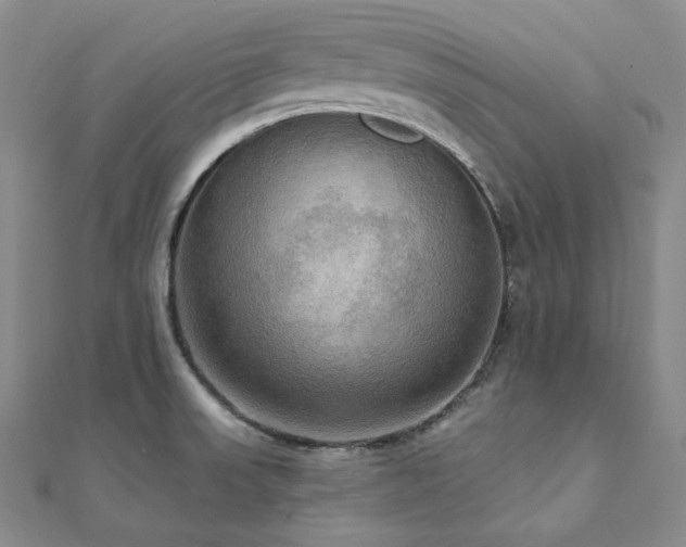 X0000112101523200908041501