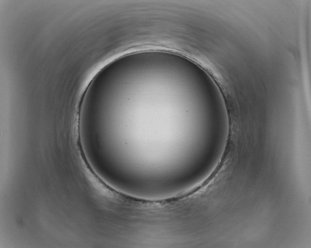 X0000112101524200908041501