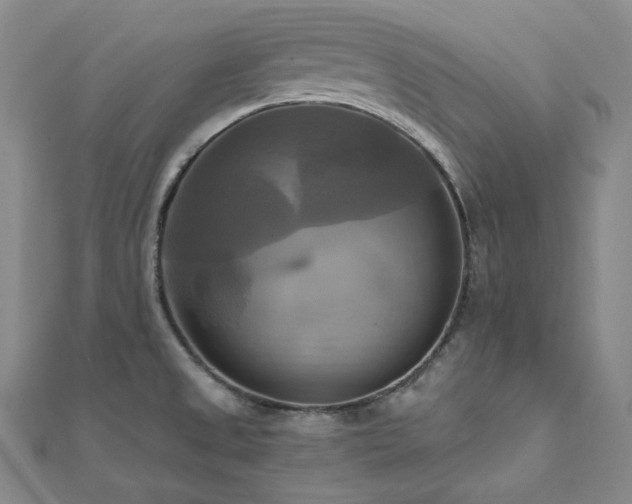 X0000112101525200908041501
