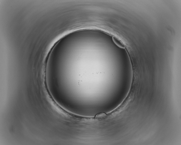 X0000112101526200908041501