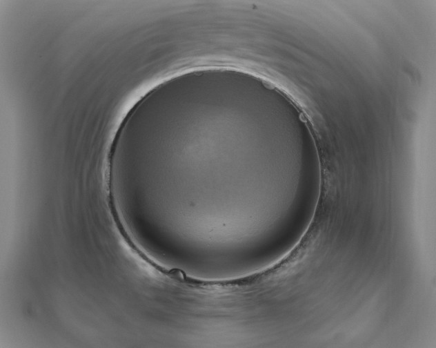X0000112101527200908041501