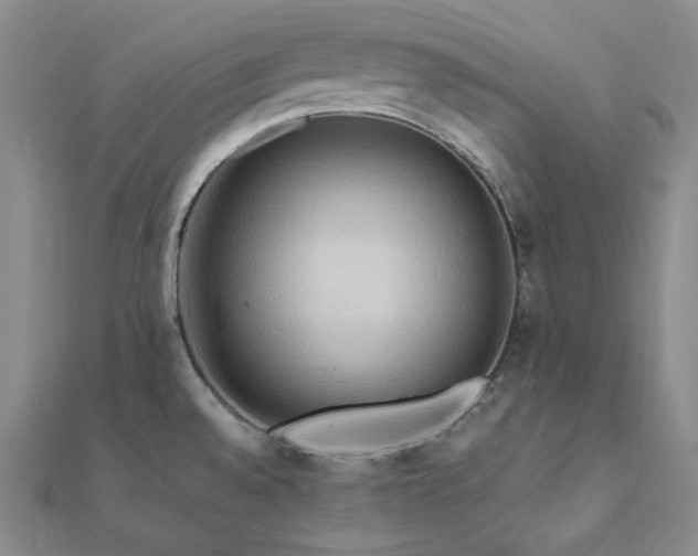 X0000112101528200908041501
