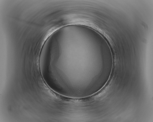 X0000112101529200908041501