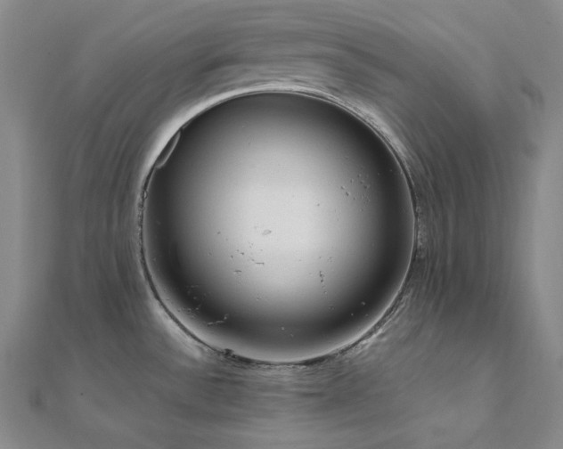 X0000112101532200908041501
