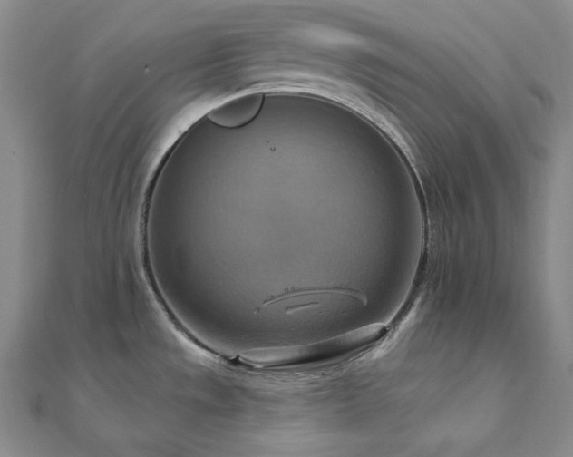 X0000112101533200908041501