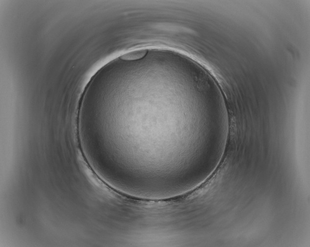 X0000112101534200908041501