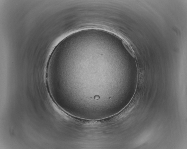X0000112101535200908041501