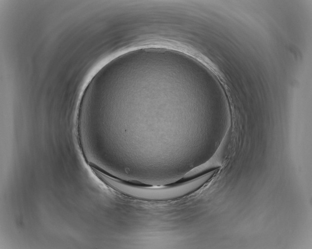 X0000112101536200908041501