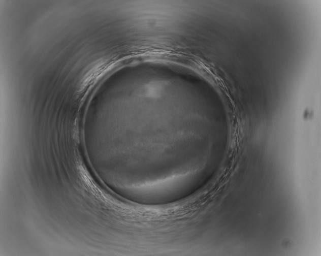 X0000112100002200908111429
