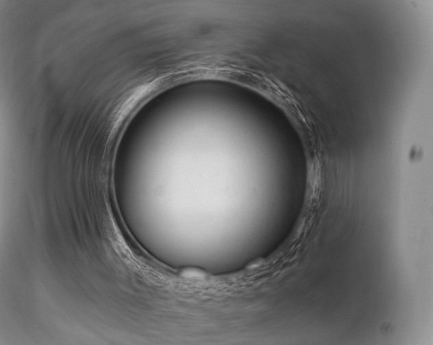 X0000112100003200908111429