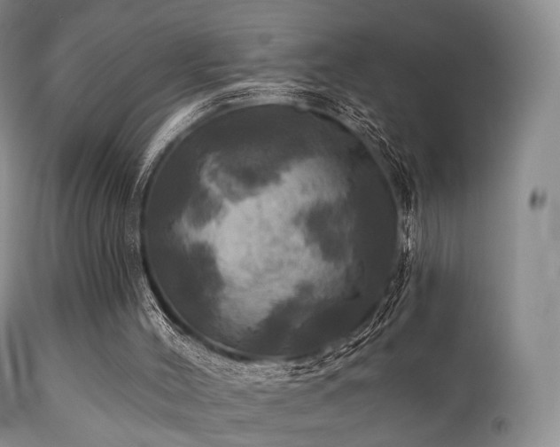 X0000112100004200908111429