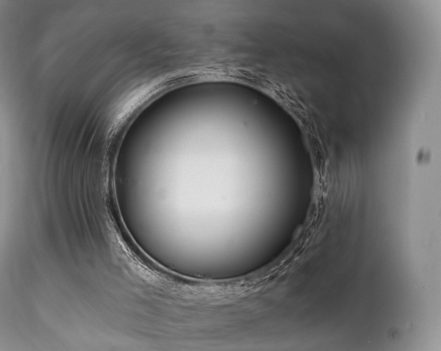 X0000112100005200908111429