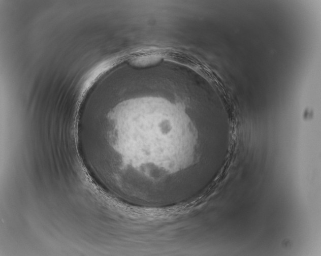 X0000112100006200908111429