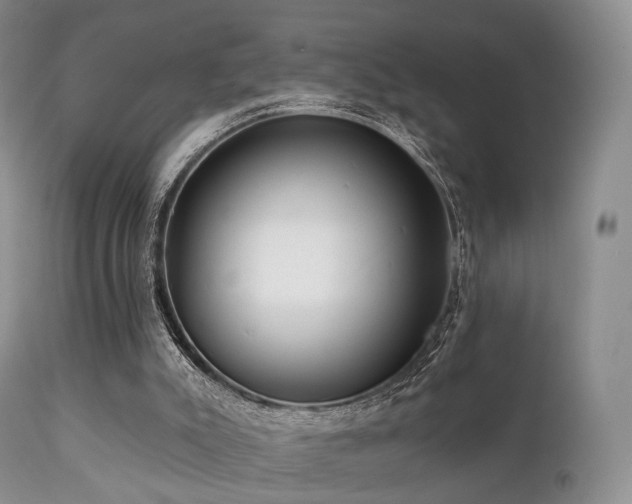 X0000112100007200908111429