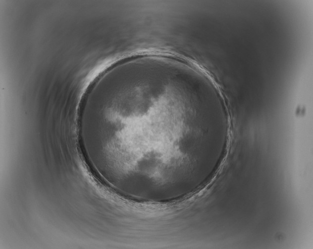 X0000112100008200908111429