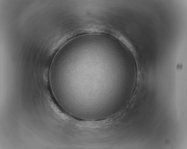X0000112100009200908111429