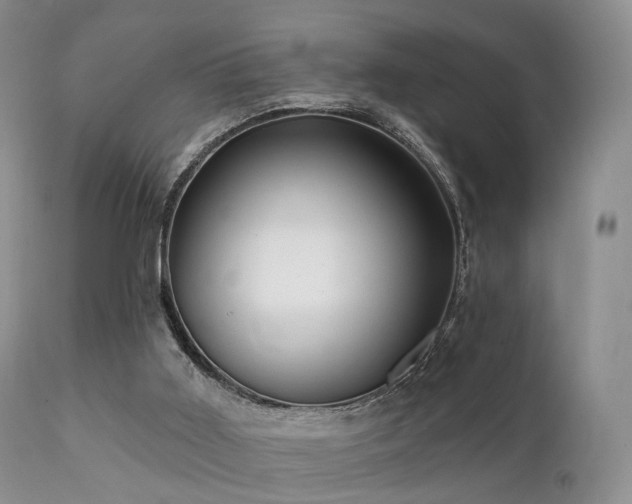 X0000112100011200908111429