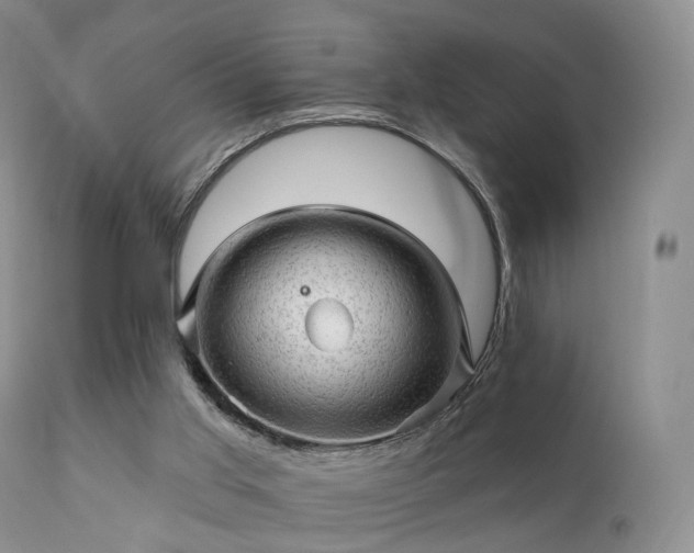 X0000112100013200908111429