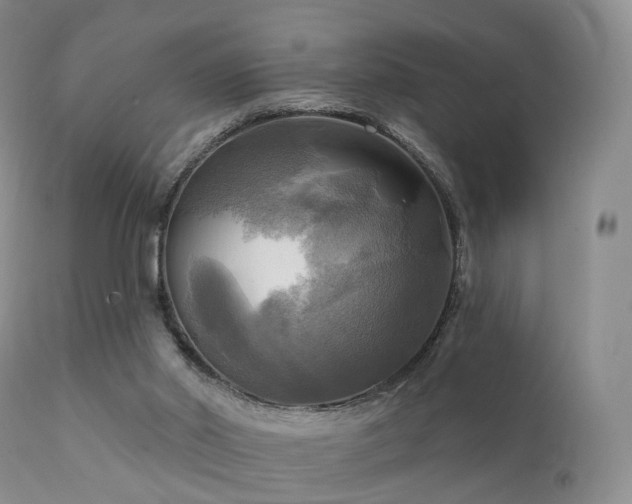 X0000112100014200908111429
