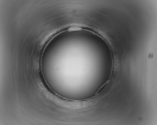 X0000112100015200908111429