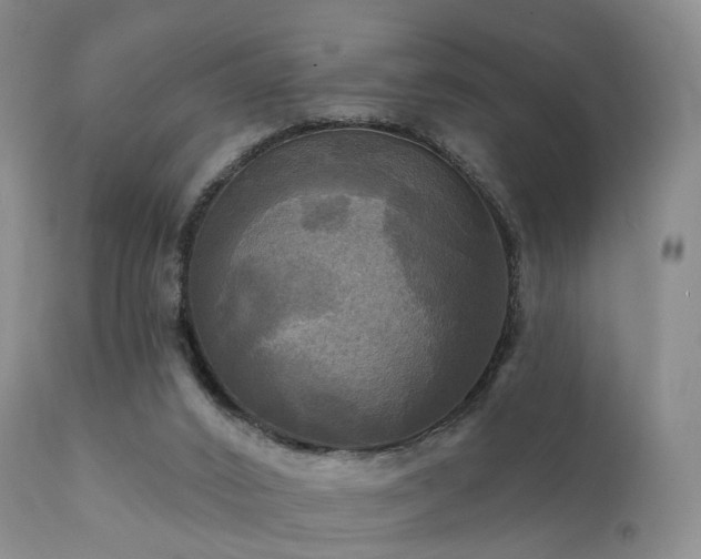 X0000112100016200908111429